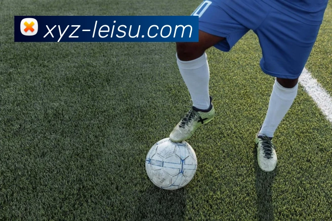 雷速体育品牌故事