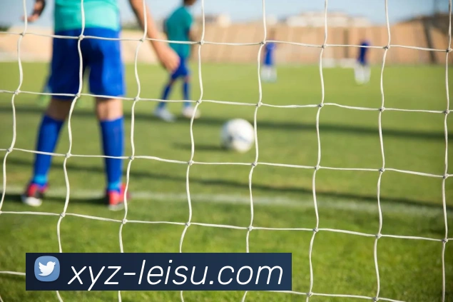 雷速体育服务体系